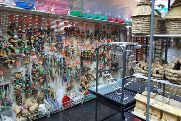 Pets Kingdom