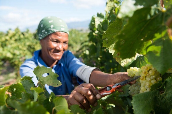 Zandvliet Estate (Pty) Ltd