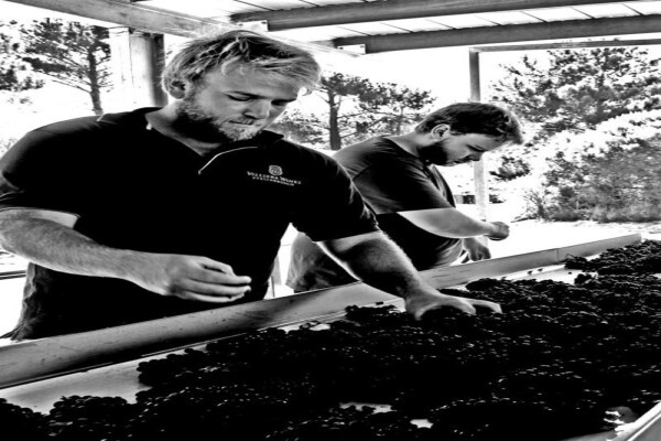 La Vierge Wines (Pty) Ltd