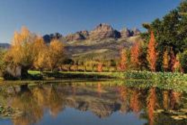 Audacia Wines (Pty) Ltd