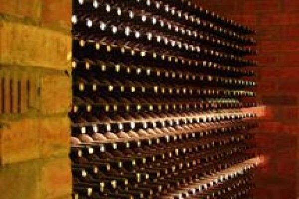 Audacia Wines (Pty) Ltd