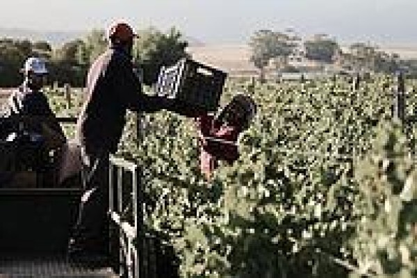 Beaumont Wines