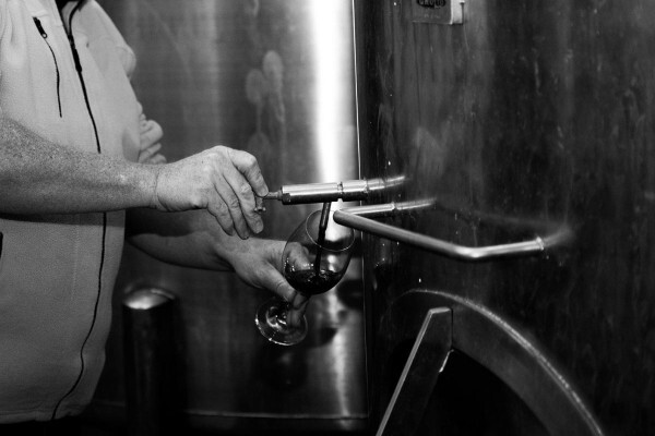 Cloverfield Wines