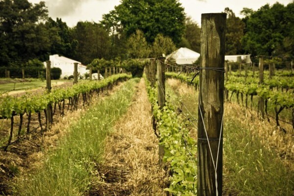 Moreson Blois Farm