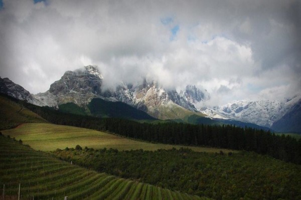 Stark Conde Wines