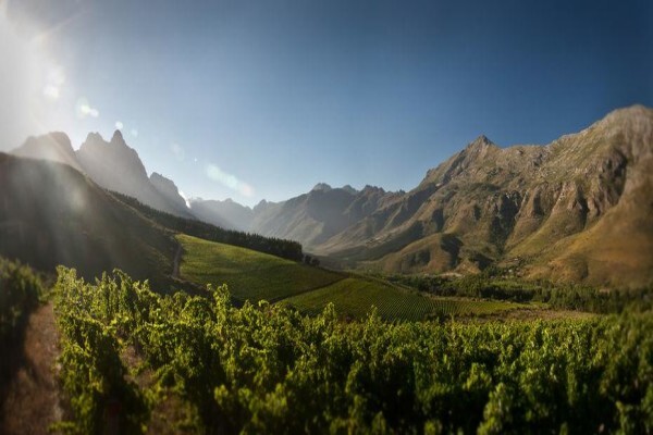 Stark Conde Wines