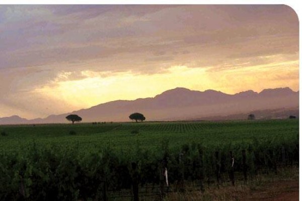 Baarsma South Africa (Pty) Ltd