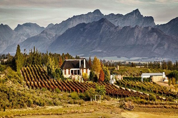 Blue Crane Vineyards (Pty) Ltd
