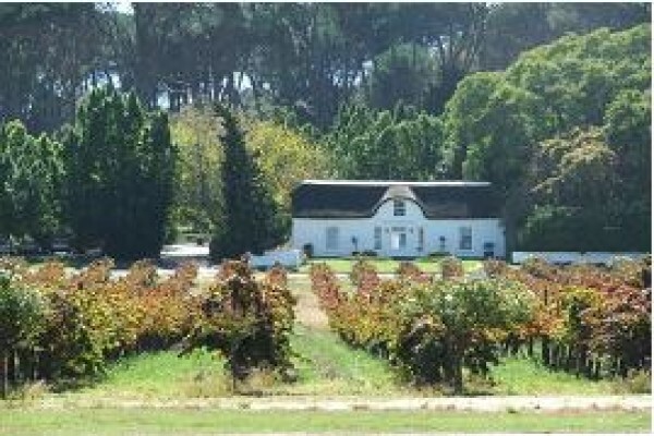 Nordic Wines