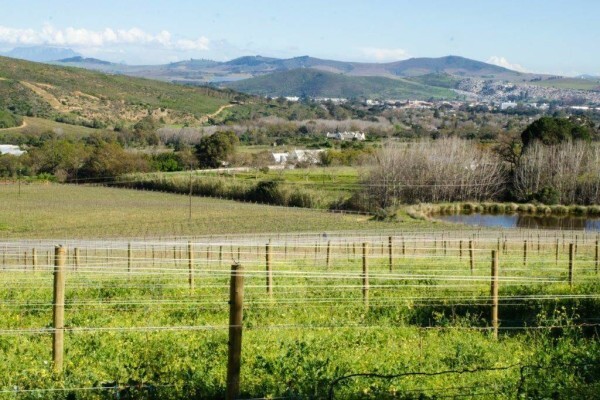 Rudera Cellar