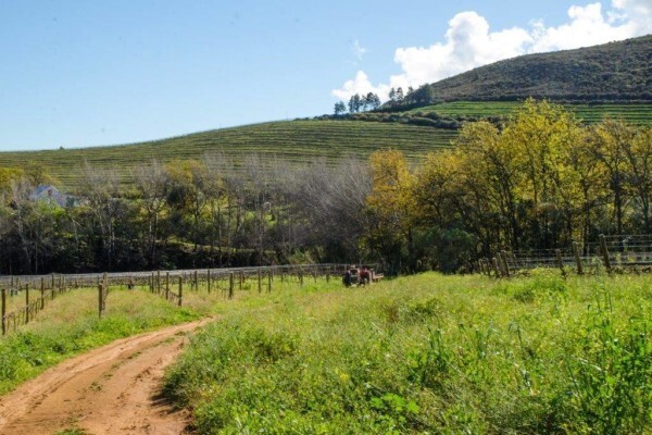 Rudera Cellar