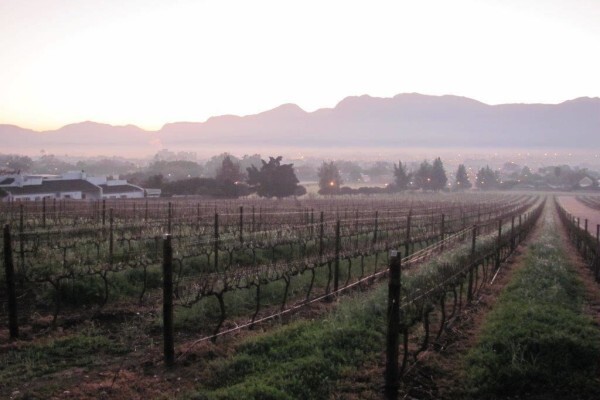 Rudera Cellar