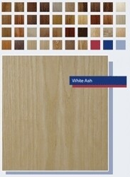 Veneer Concepts