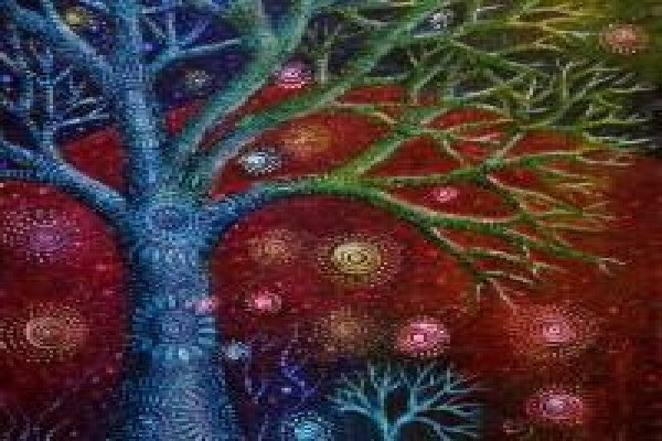 Yoga Teachers Fellowship Of SA