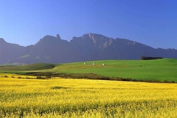 Swellendam Properties