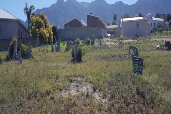 Swellendam Properties