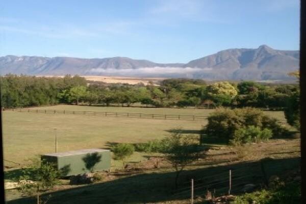 Swellendam Properties