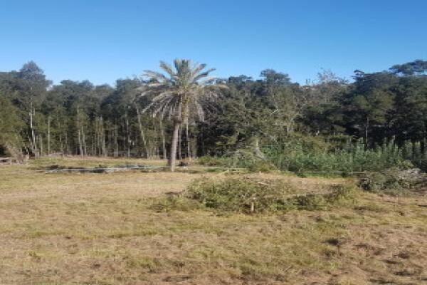 Swellendam Properties