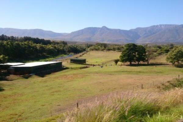 Swellendam Properties