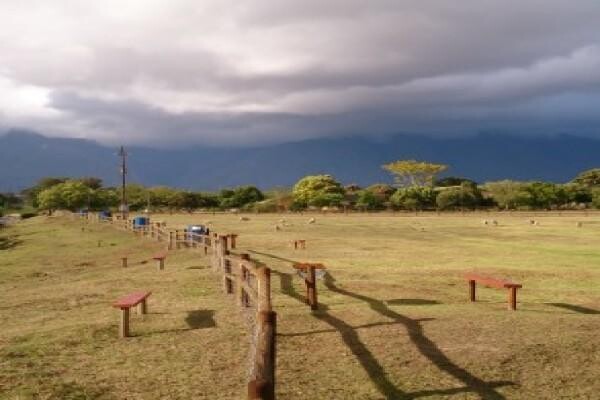 Swellendam Properties