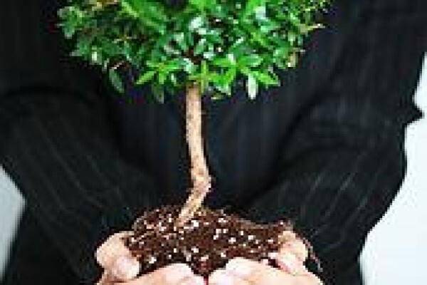 Profile Software Int (Pty) Ltd