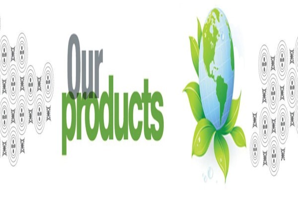 Chillisoft Solution Services (Pty) Ltd