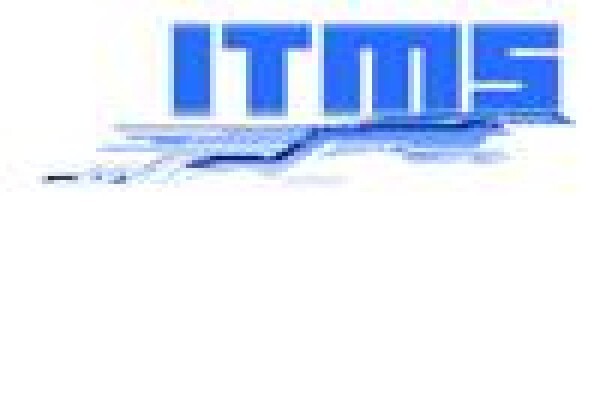 It Managent Services