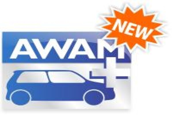 It Managent Services