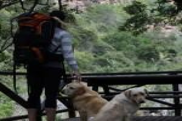Assegaai Trails