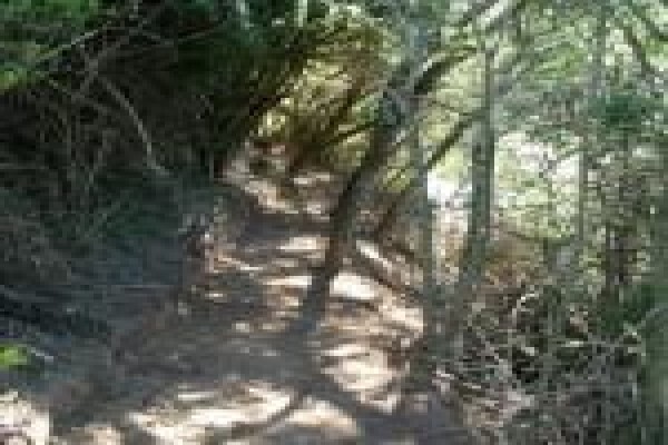 Assegaai Trails