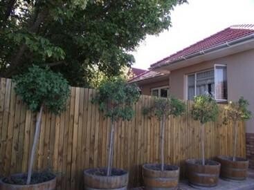 Jawitz Properties (Pty) Ltd:Durbanville