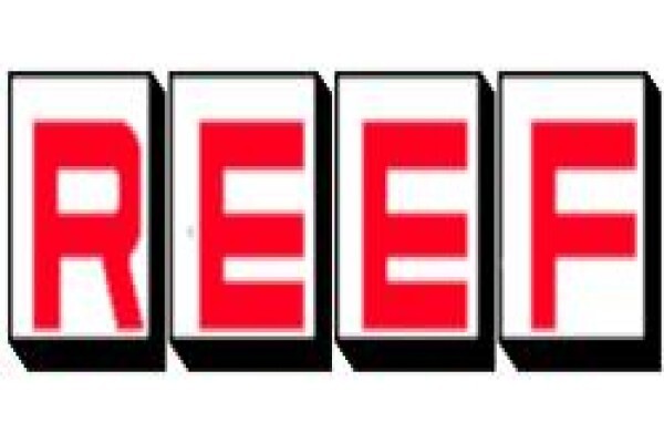 Reef Engineering & Manufacturing Co (Pty) Ltd