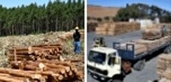 Bedrock Ms (Pty) Ltd
