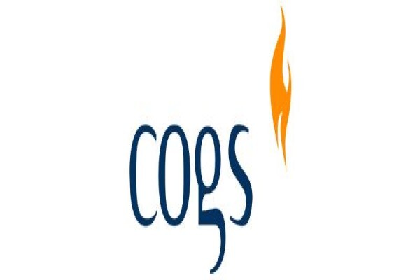 Mogs (PTY) Ltd (Cape Town)