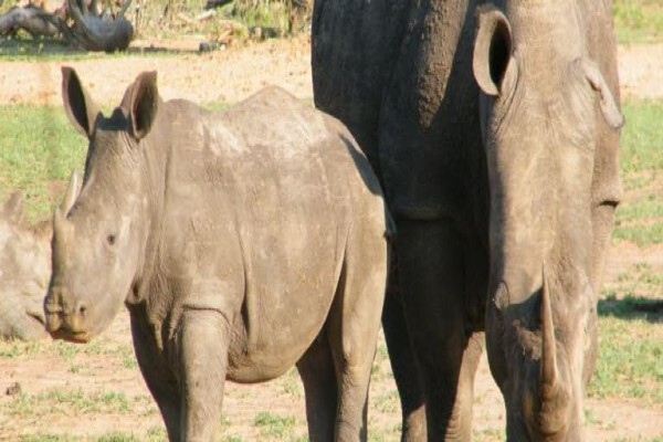 Nomad Adventure Tours & Holidays CC:Sales