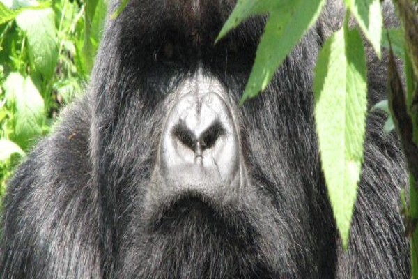 Nomad Adventure Tours & Holidays CC:Sales