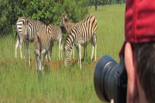 Nomad Adventure Tours & Holidays CC:Sales