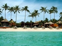 Sure The Travel Agent