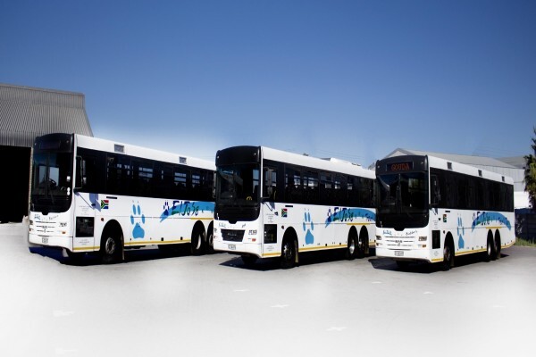 Eljosa Travel & Tours CC