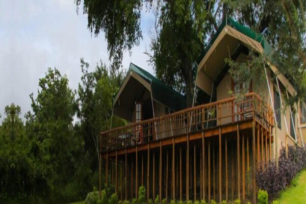 Wildlife Safaris (Pty) Ltd