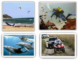 Malonkwazi Adventures Mozambique