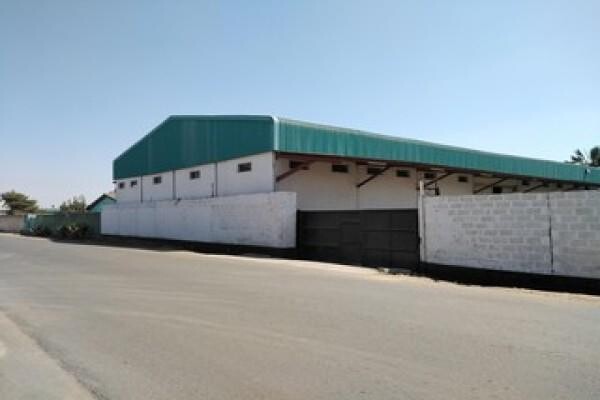 Seeff Properties (Muizenberg)