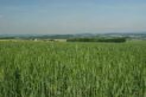 Umtiza Farmers' Corp