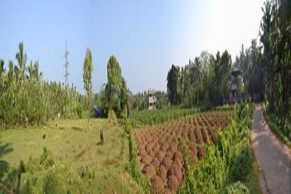 Umtiza Farmers' Corp