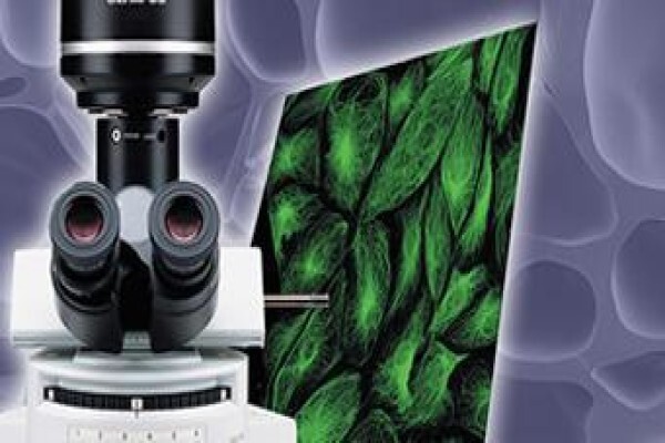 Wirsam Scientific & Precision Equipment (Pty) Ltd