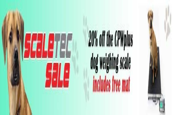 Scaletec SA (Pty) Ltd
