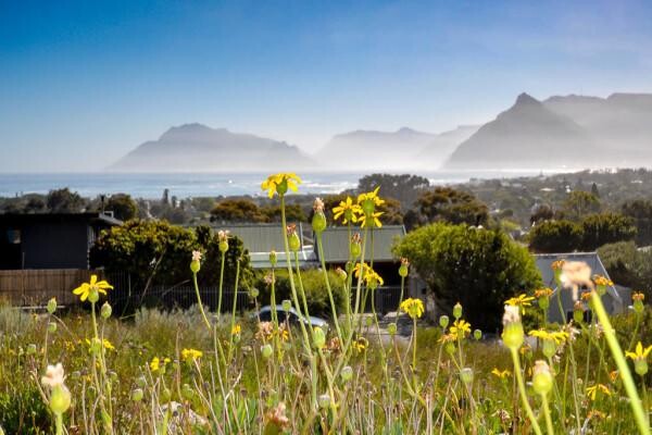 Kommetjie Coastal Properties