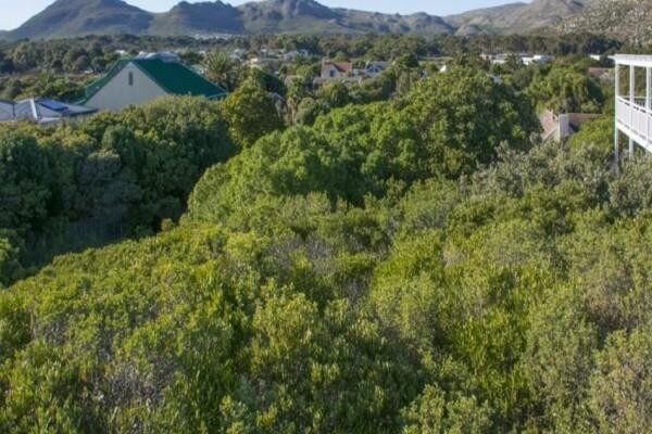 Kommetjie Coastal Properties