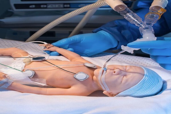 Anatomical Parts & Charts