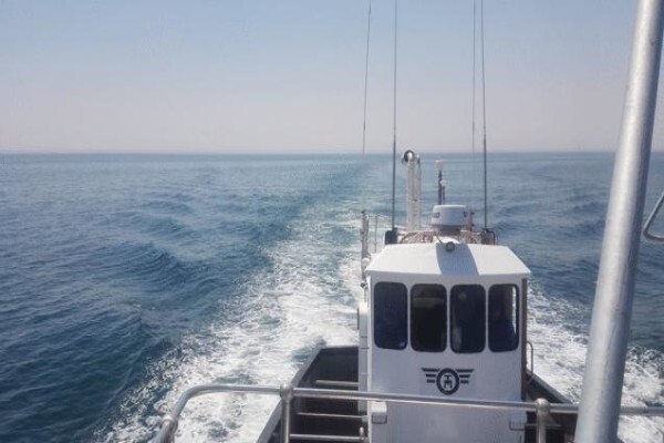 Tallie Marine